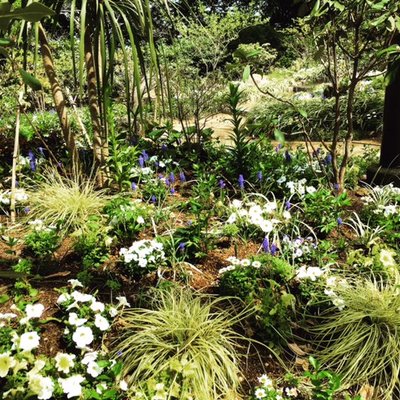 港の見える丘公園