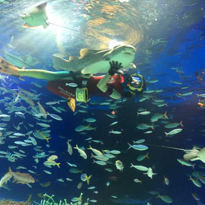 サンシャイン水族館