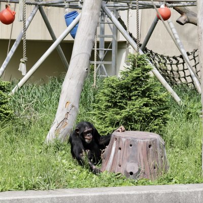 円山動物園