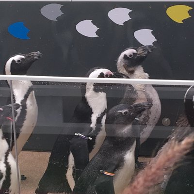 サンシャイン水族館