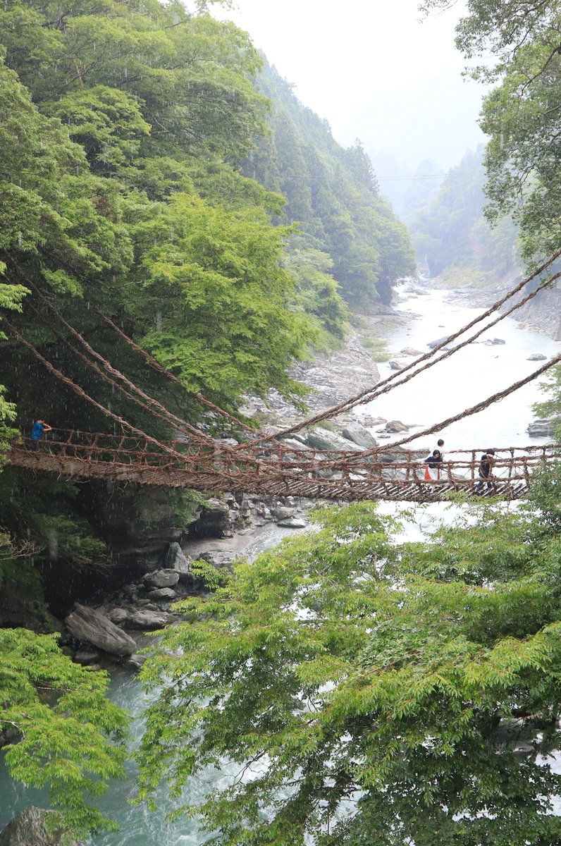 祖谷のかずら橋