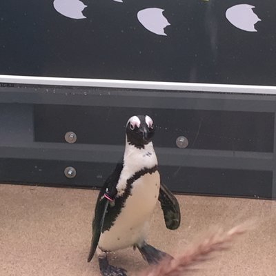 サンシャイン水族館