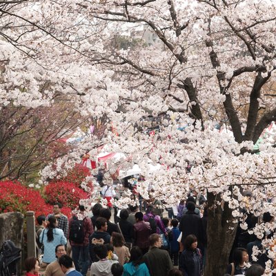 飛鳥山公園