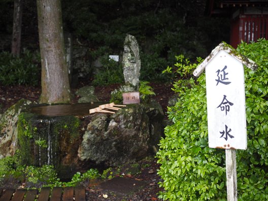 日光山中禅寺 立木観音