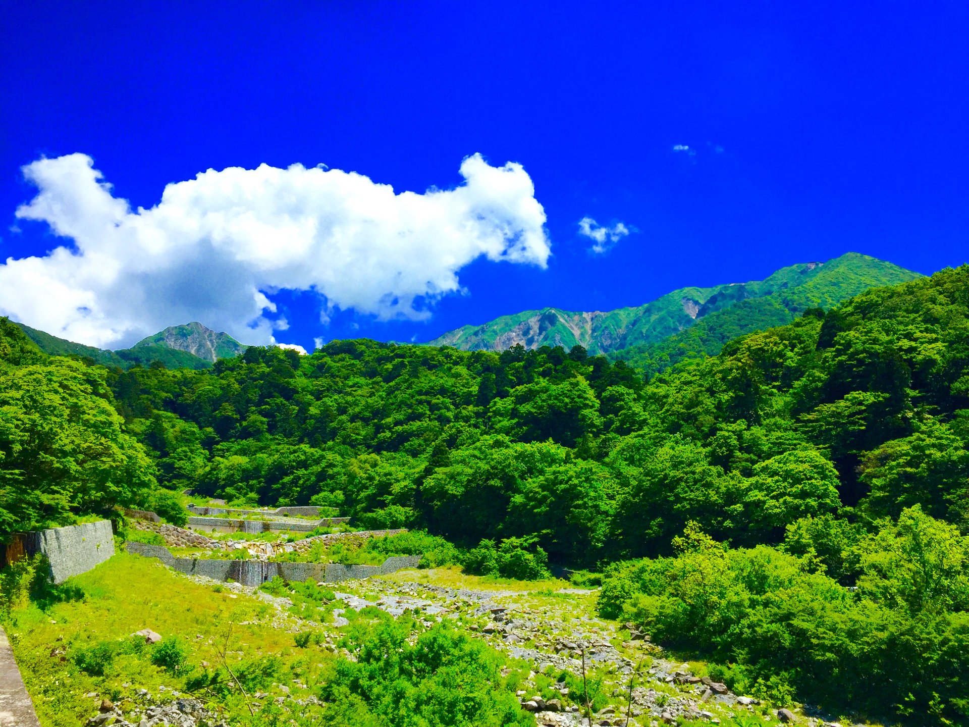 【初夏の山陰観光なら大山へ】大神山神社奥宮を散策した後は温泉。その後はFBIDAISENへ