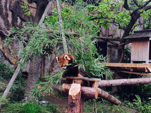 野毛山動物園