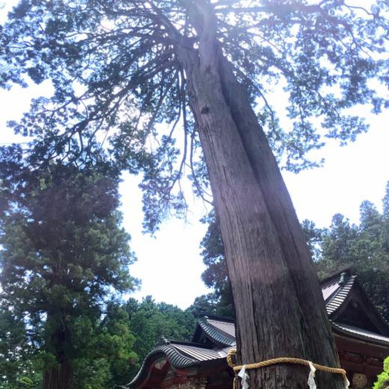 新屋山神社