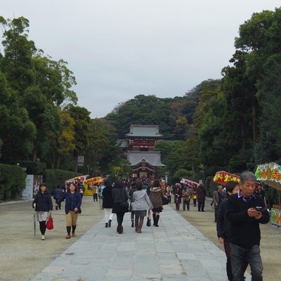 鶴岡八幡宮