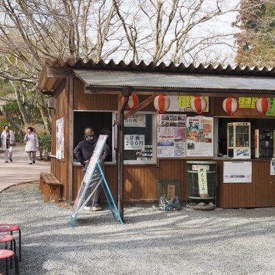 修善寺自然公園