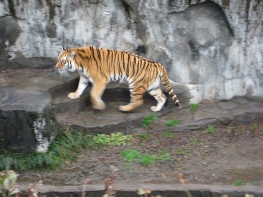 天王寺動物園