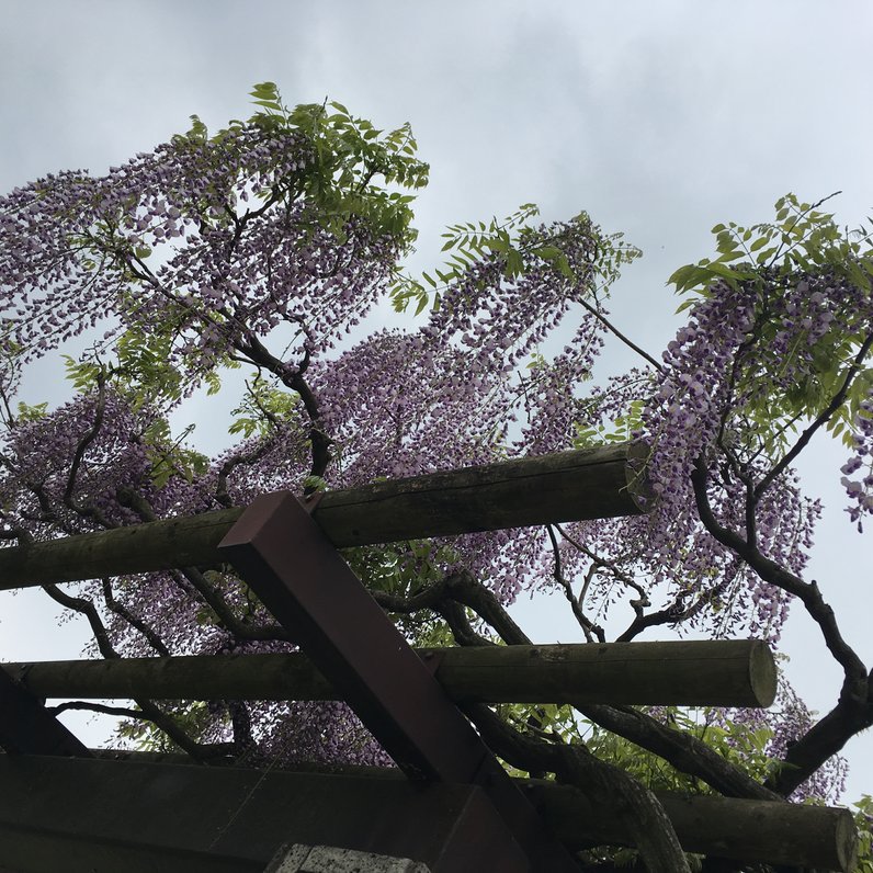 那須野が原公園展望塔(サンサンタワー)