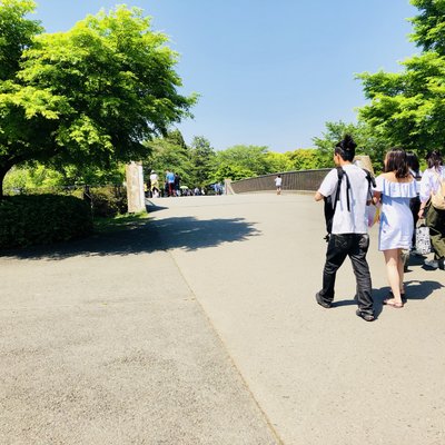 国営昭和記念公園