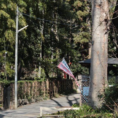 お鷹の道・真姿の池湧水群