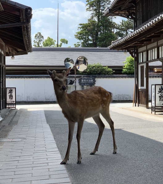 紅葉谷駅(宮島ロープウェイ)