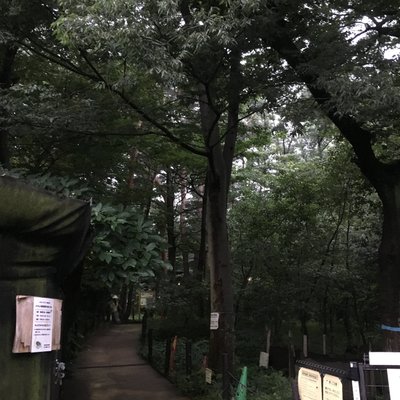 駒場野公園