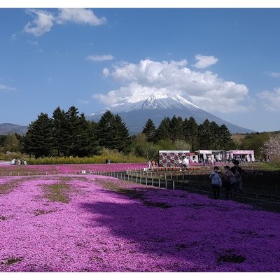 富士本栖湖リゾート