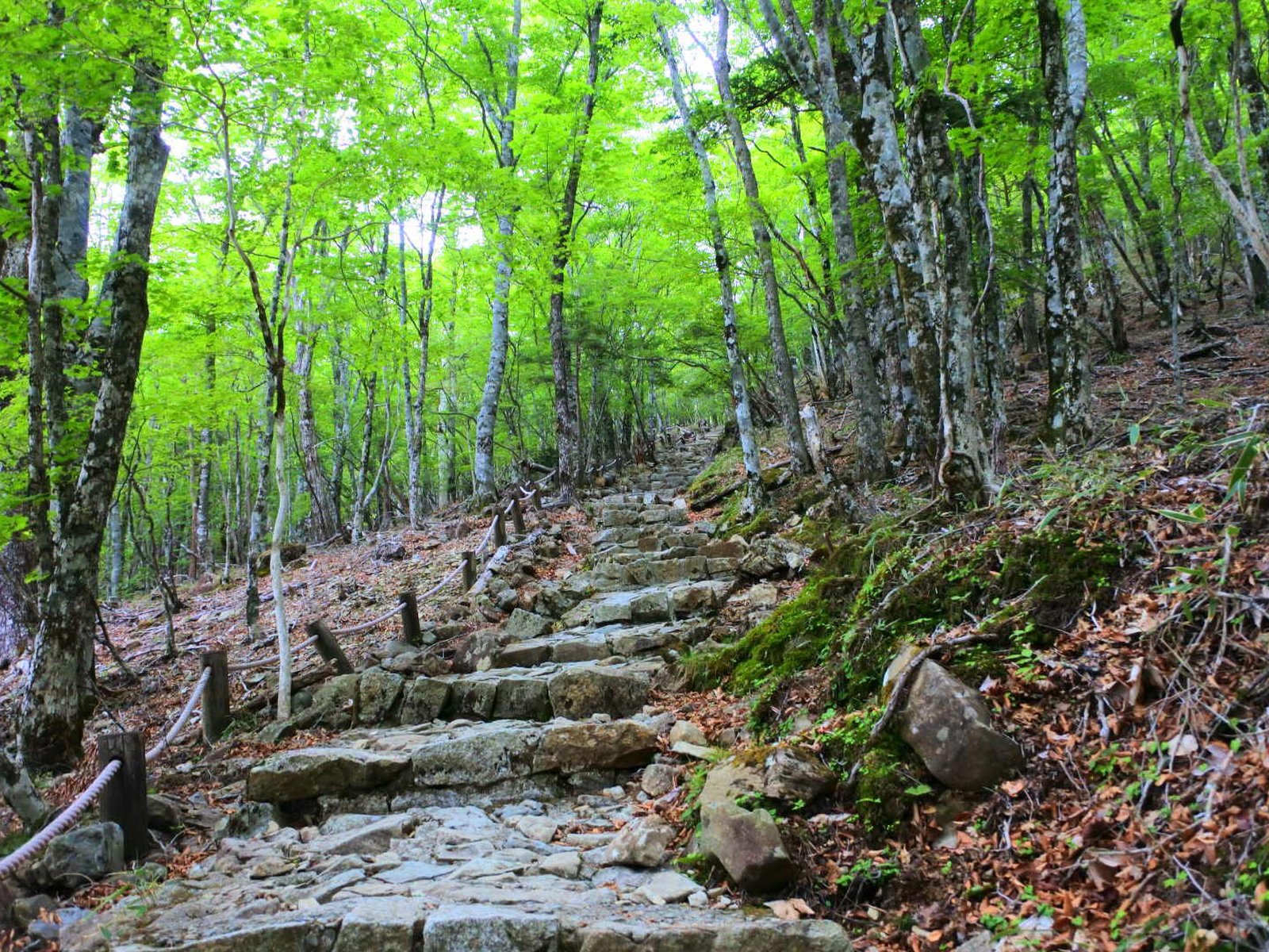 大台ケ原(日出ヶ岳)