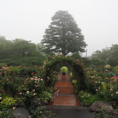 箱根強羅公園