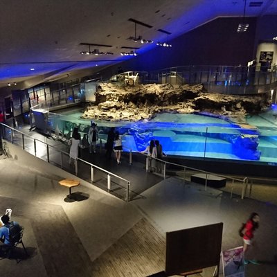 すみだ水族館