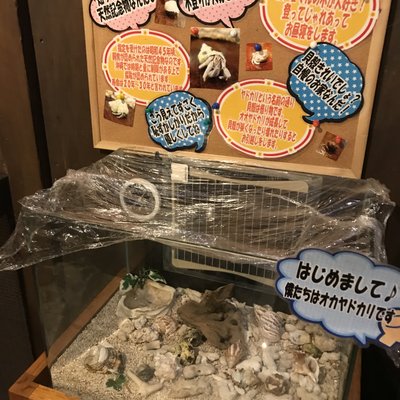 カラオケ パセラ 横浜関内店