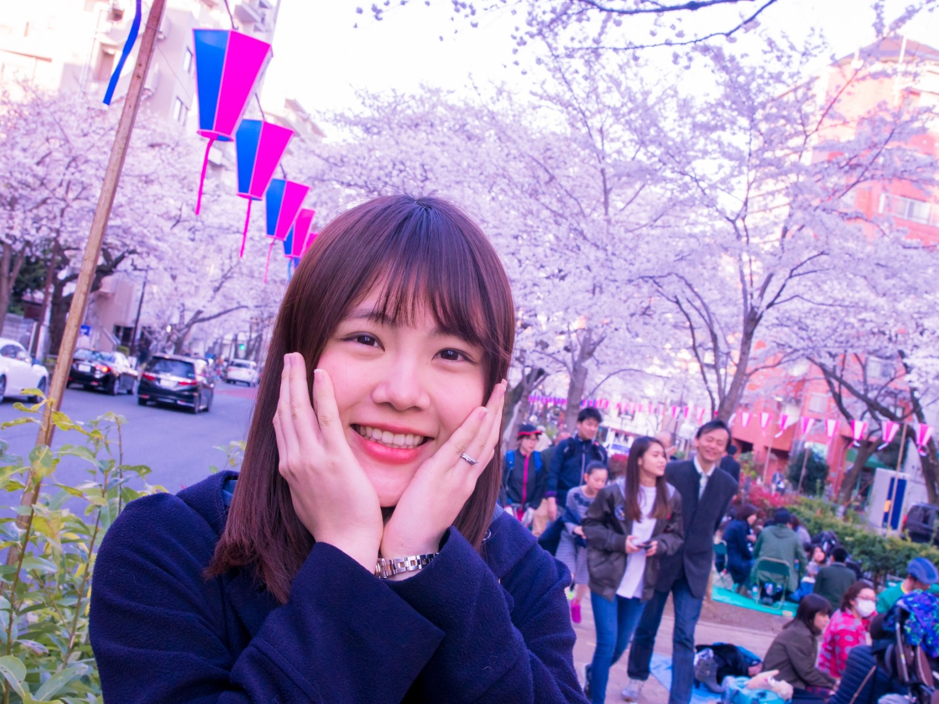 東京に桜の絶景「播磨坂さくら並木」は花見の穴場！カフェで桜を見ながらケーキも♡