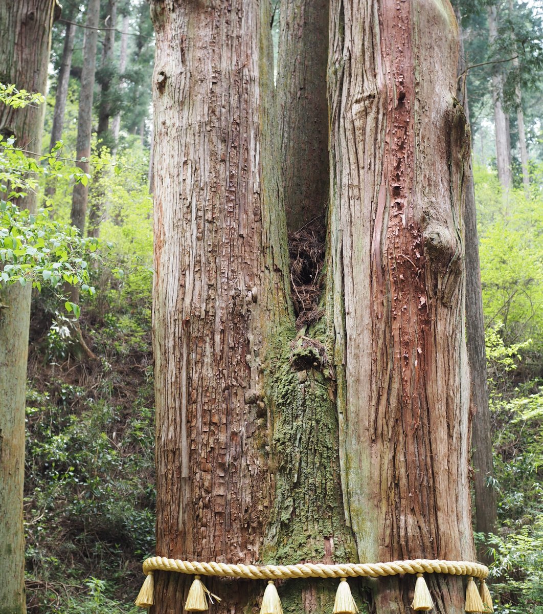 御岩神社