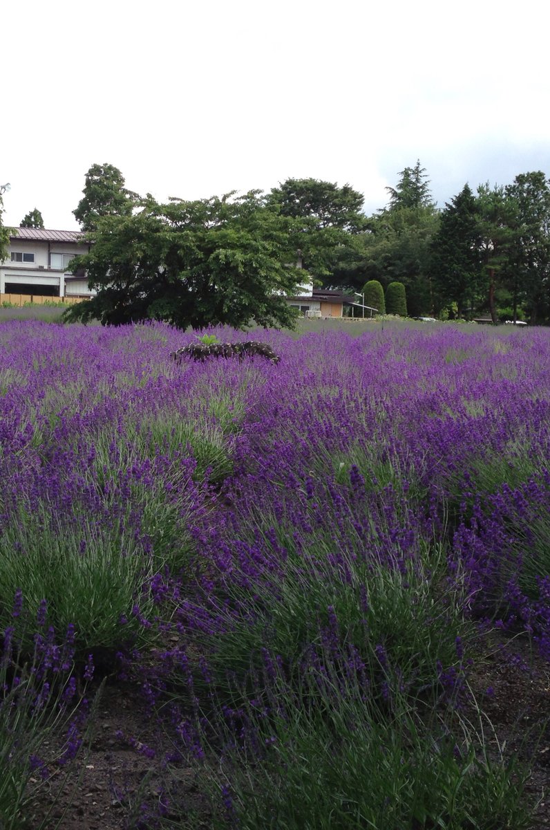 八木崎公園