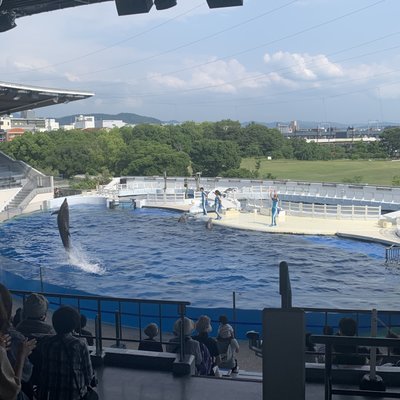 京都水族館