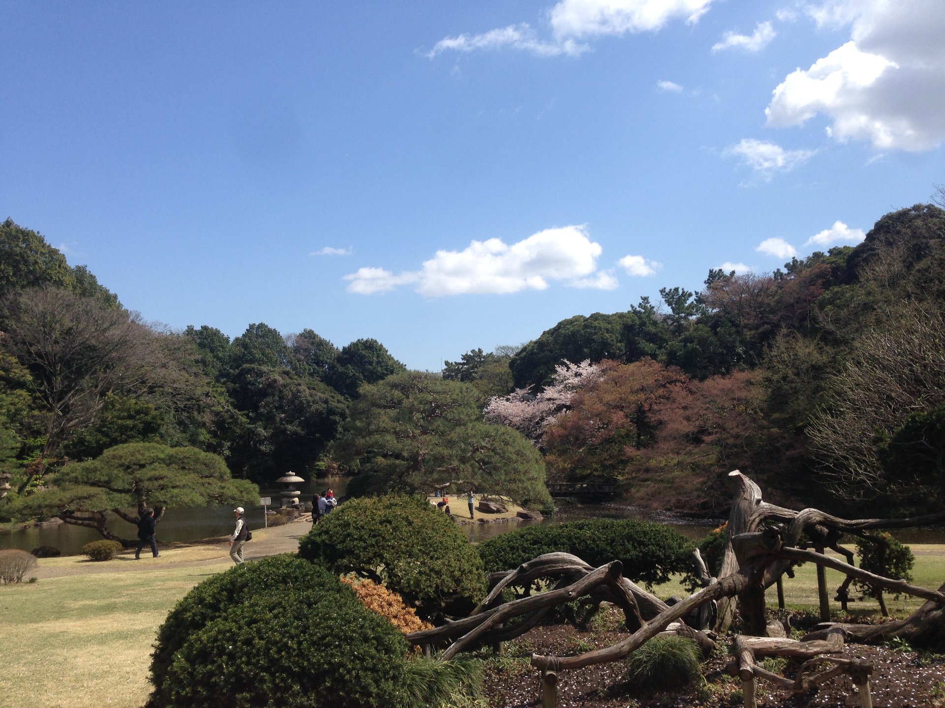 【自称庭園マスターが教える】おでかけ・プチ旅行・デートで行きたい東京都内のおすすめ庭園３選