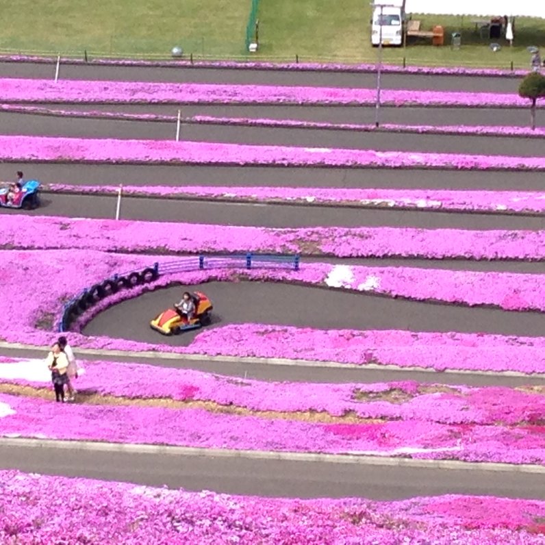 東藻琴芝桜公園キャンプ場