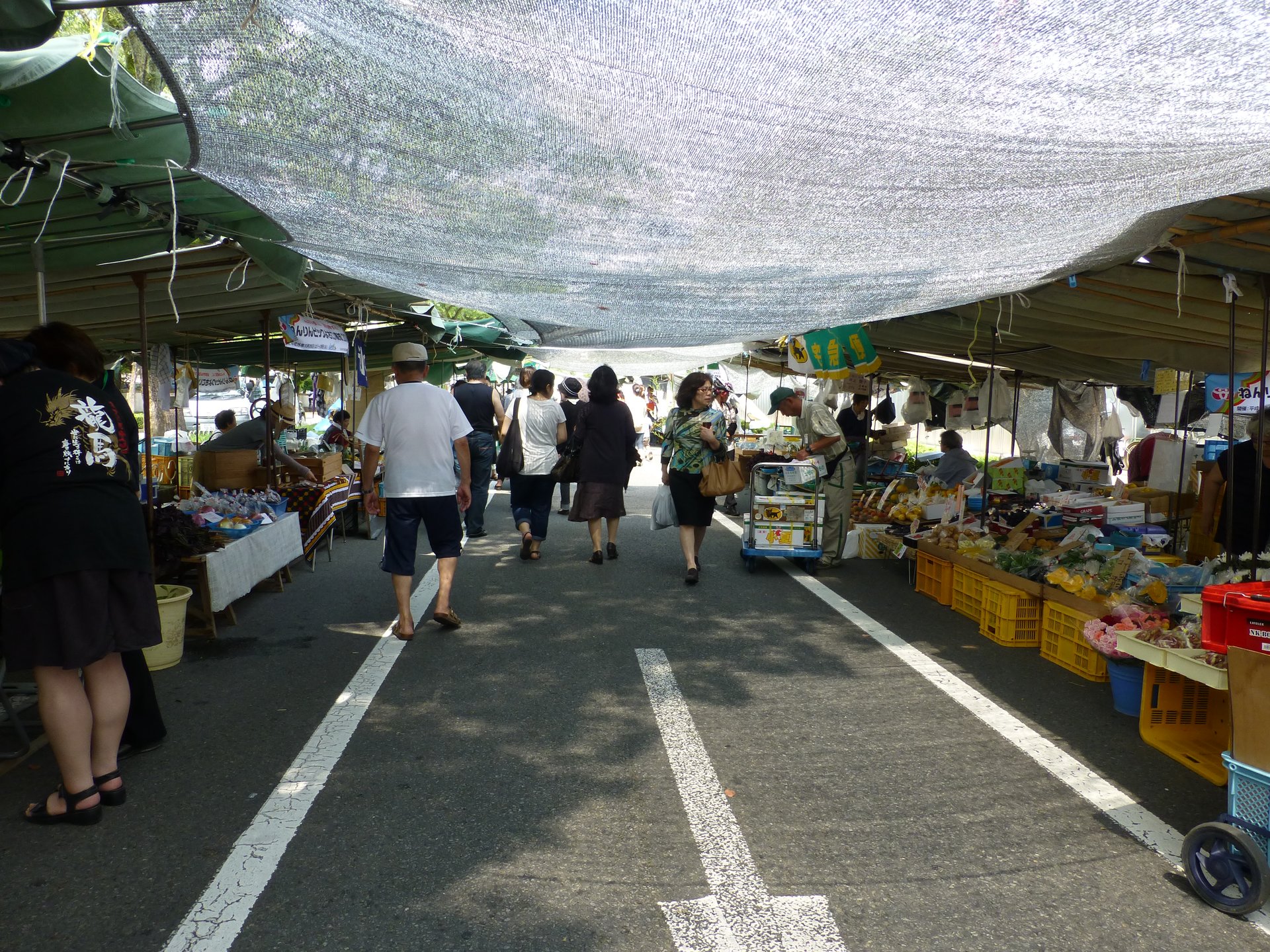 高知の街路市は日本一の規模！【日曜市】で食べ歩き！