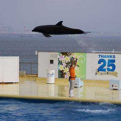 マリンワールド海の中道