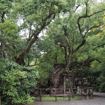 伊勢神宮外宮(豊受大神宮)