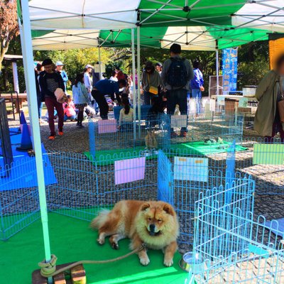 安城産業文化公園デンパーク