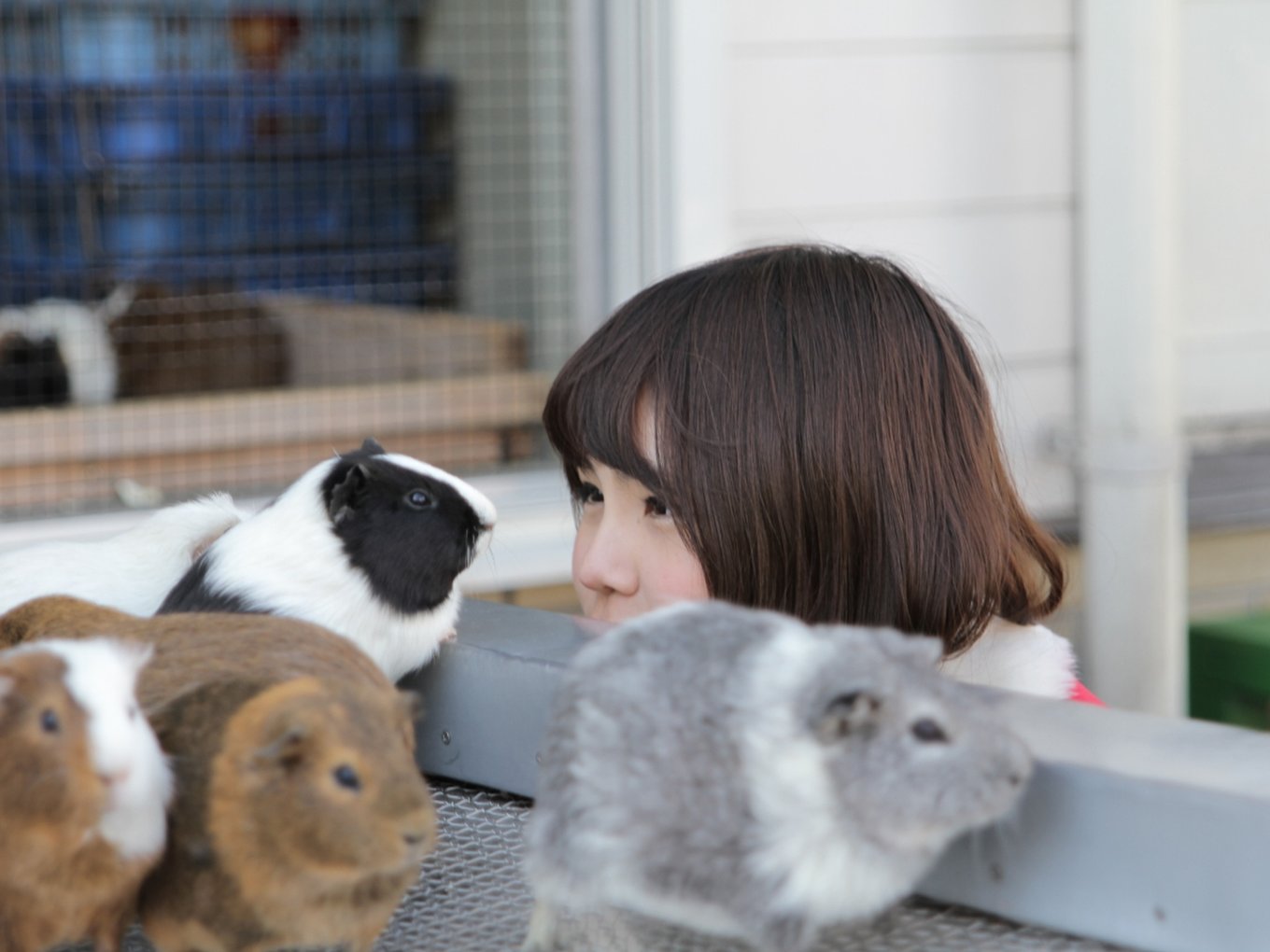 東京都内 近郊の動物園 これで絶対ハズさない おすすめ動物園10選 Playlife プレイライフ