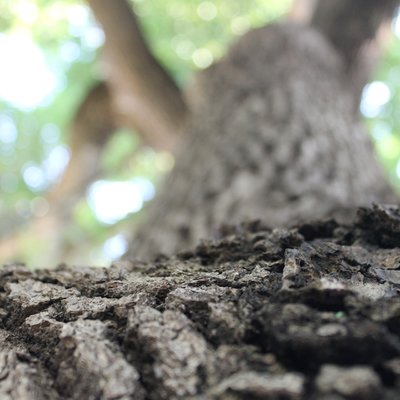 都立駒沢オリンピック公園