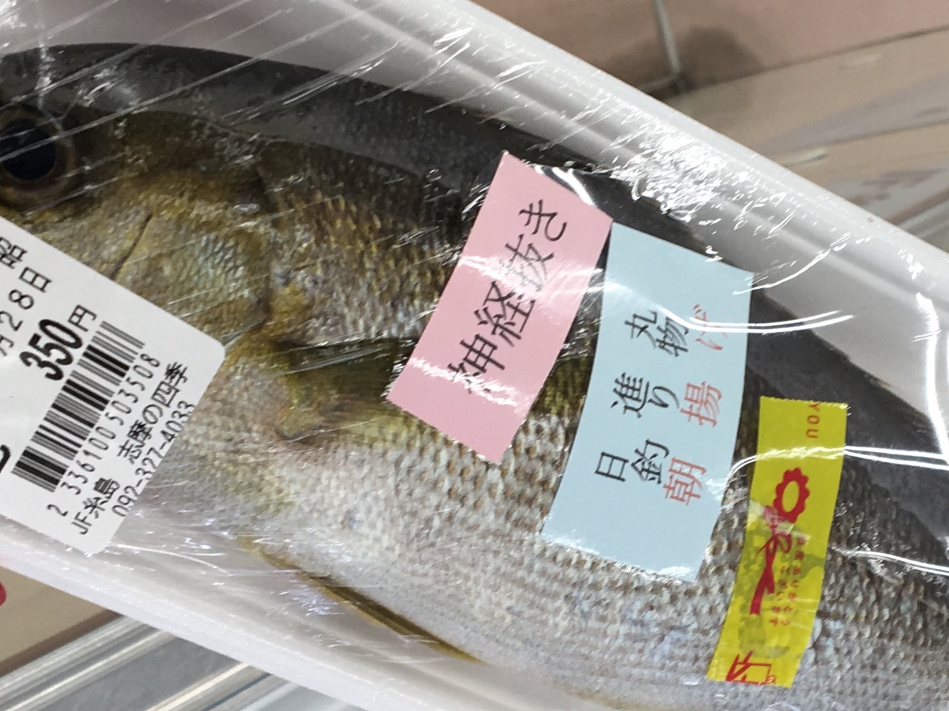 糸島ドライブでのお買物なら【ＪＦ糸島志摩の四季】地元糸島の新鮮な魚や野菜が安い！
