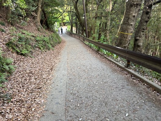 高尾山