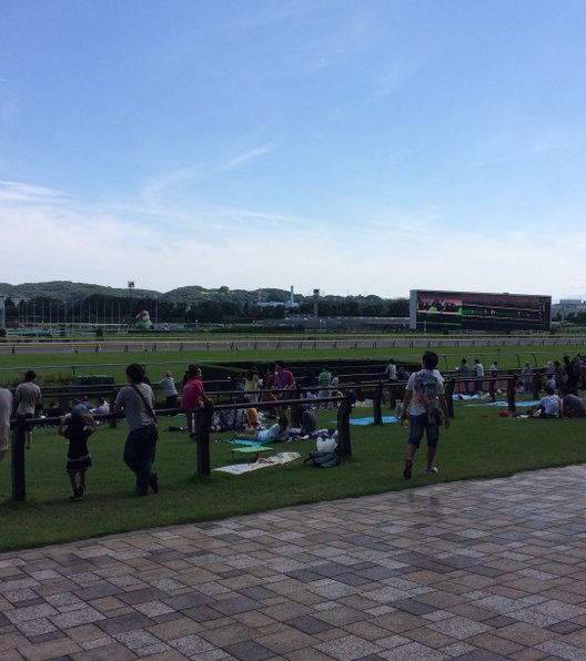 東京競馬場