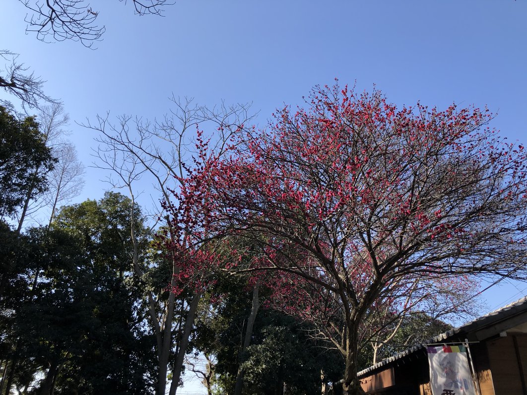 大原神社