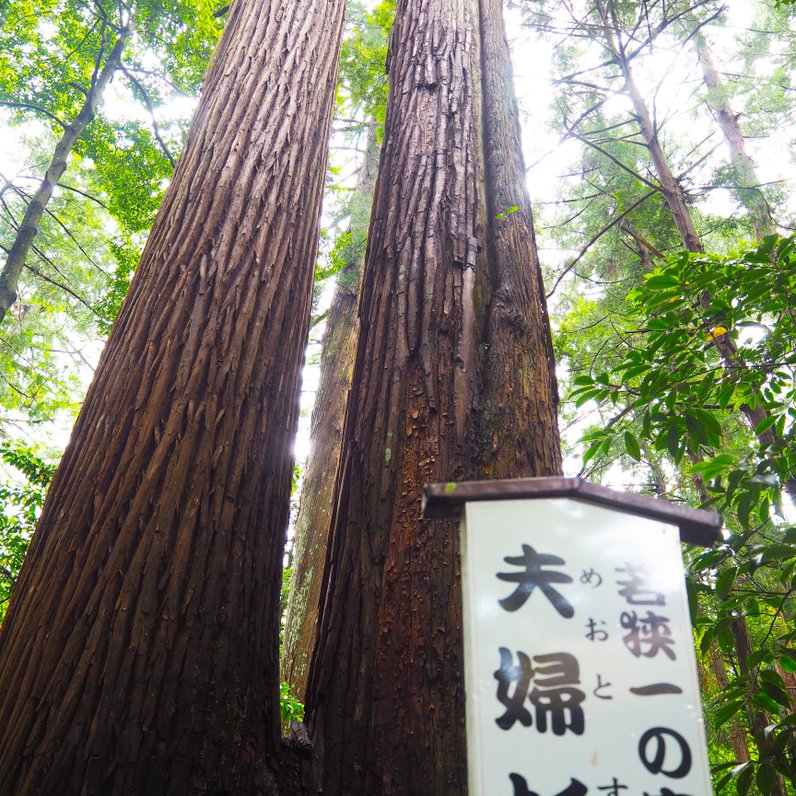 若狭彦神社