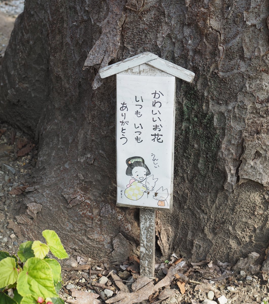 於菊稲荷神社