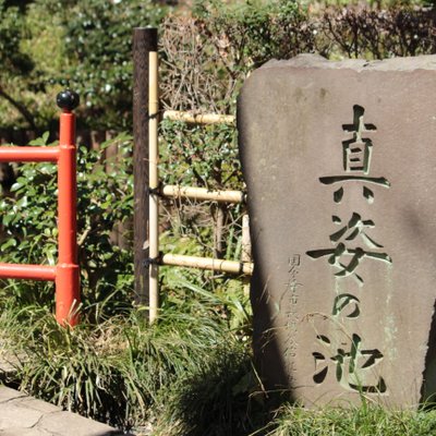 お鷹の道・真姿の池湧水群