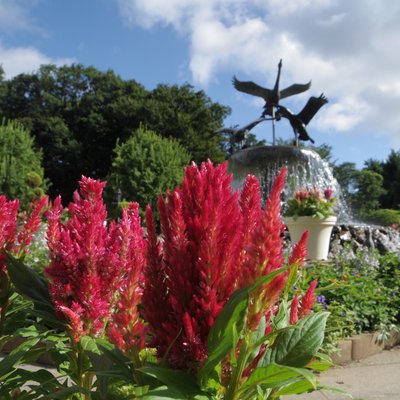 ふなばしアンデルセン公園