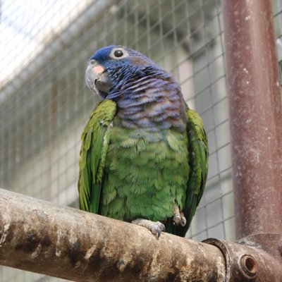 掛川花鳥園