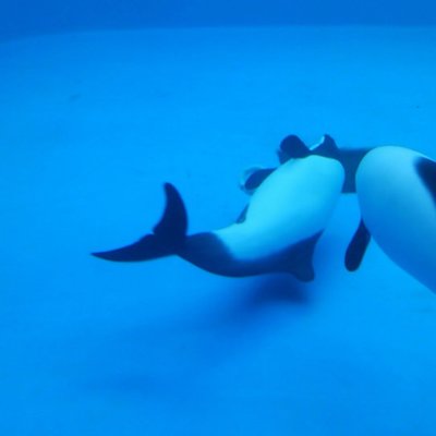 仙台うみの杜水族館