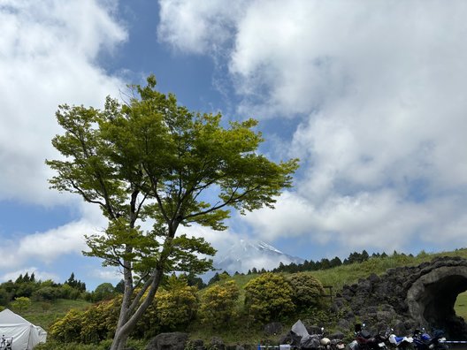 富士山こどもの国