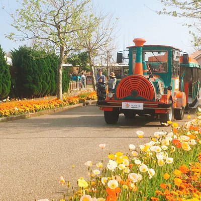 長井海の手公園ソレイユの丘