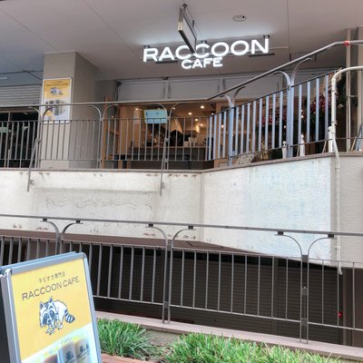 RACCOON CAFE（ラクーンカフェ）