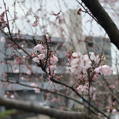 新川西水門広場